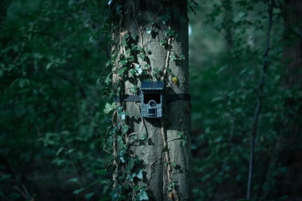 Fotopasca Camouflage EZ-Solar Wifi/Bluetooth – Obrázok 10
