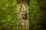 Fotopasca Camouflage EZ2 Elite Dual Lens – Obrázok 5