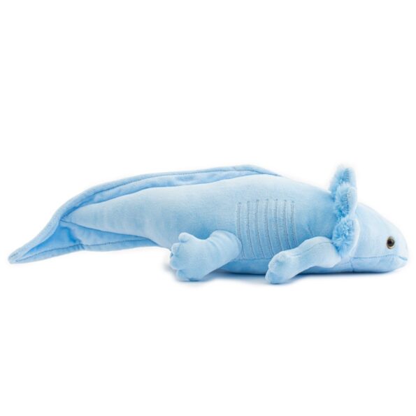 Plyšová hračka Axolotl Baby Mix 45 cm modrá – Obrázok 3