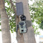 Solárny panel Camouflage Trailcamera solar panel pre fotopasce – Obrázok 5