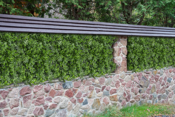 Umelá zelená stena G21 Listo Berry, 50x50 cm – Obrázok 13