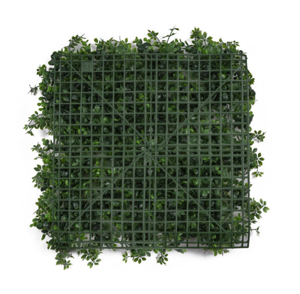 Umelá zelená stena G21 Listo Berry, 50x50 cm – Obrázok 9