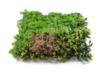 Umelá zelená stena G21 Listo Forest, 50x50 cm – Obrázok 3