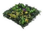 Umelá zelená stena G21 Listo Herb, 50x50 cm – Obrázok 2