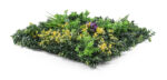 Umelá zelená stena G21 Listo Herb, 50x50 cm – Obrázok 3