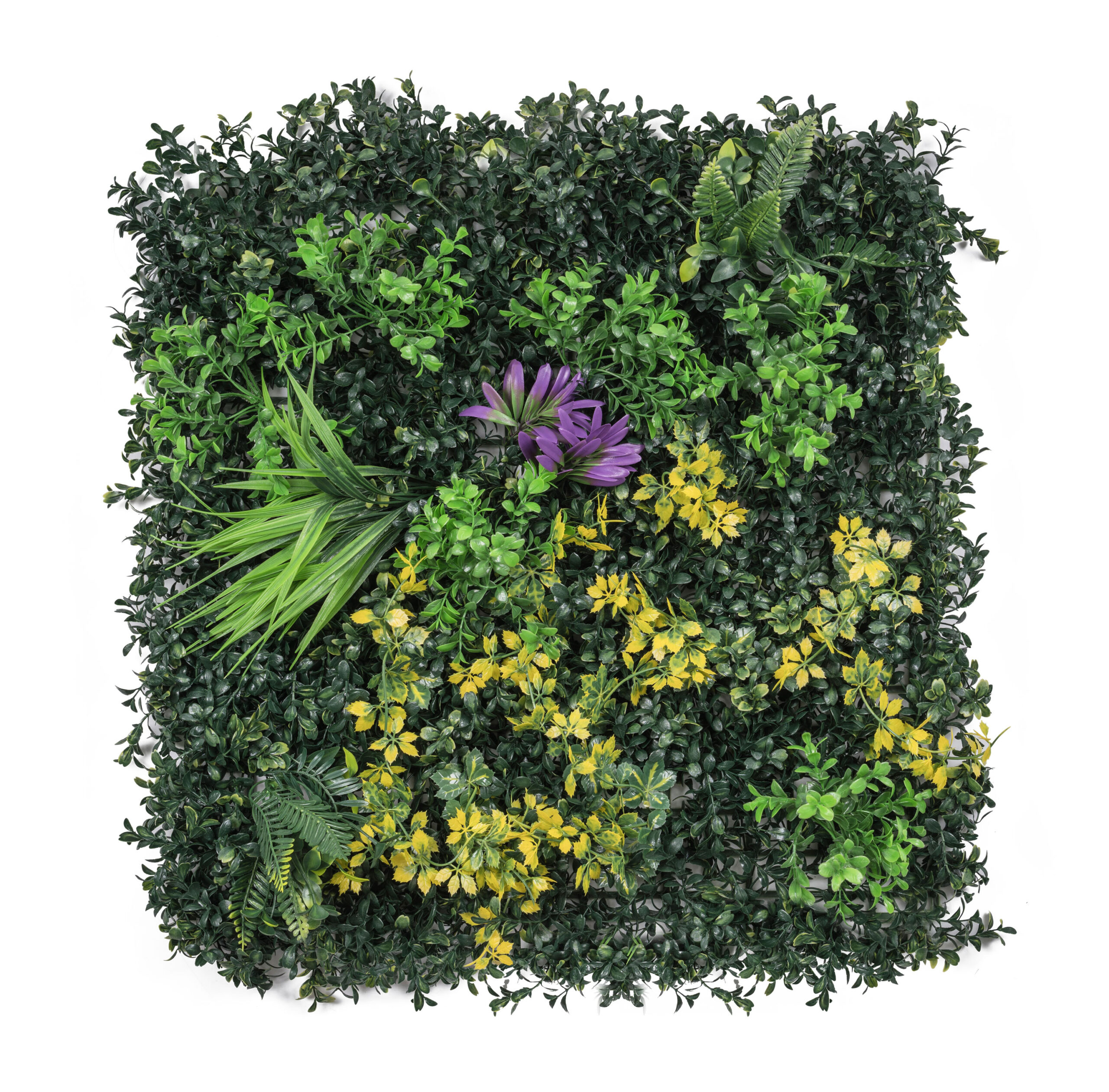 Umela-zelena-stena-G21-Listo-Herb-50x50-cm Umelá zelená stena G21 Listo Herb, 50x50 cm – Obrázok 1