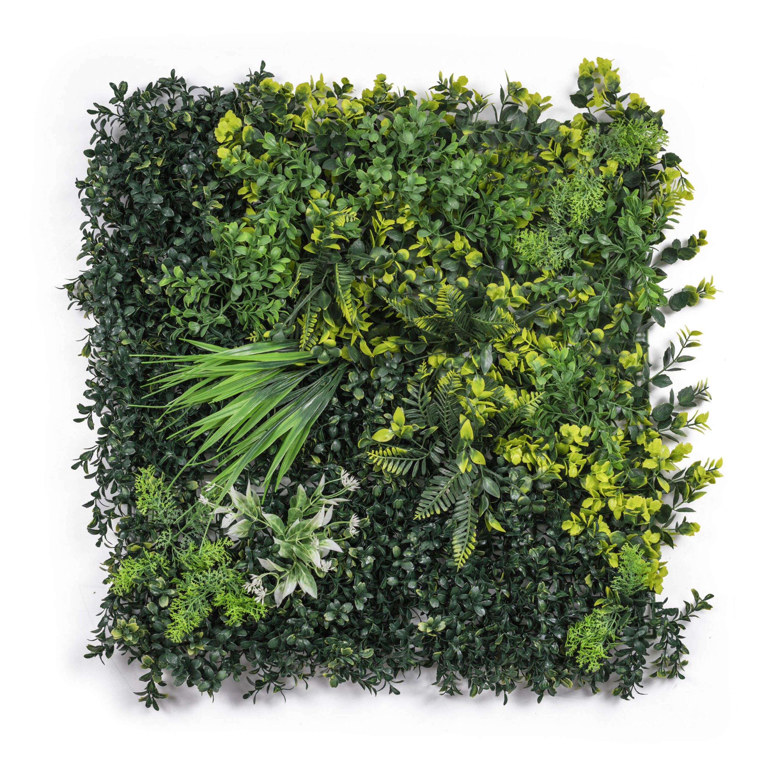 Umela-zelena-stena-G21-Listo-Jungle-50x50-cm Umelá zelená stena G21 Listo Jungle, 50x50 cm – Obrázok 1